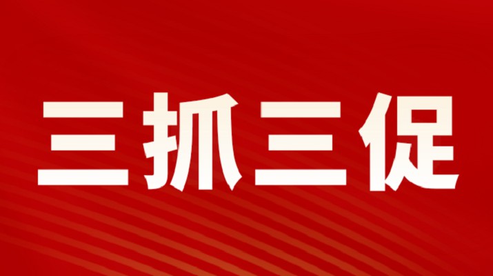 三抓三促進(jìn)行時(shí)丨甘肅文旅集團(tuán)召開重點(diǎn)項(xiàng)目調(diào)度會